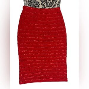 St. John Evening Skirt Sz XP